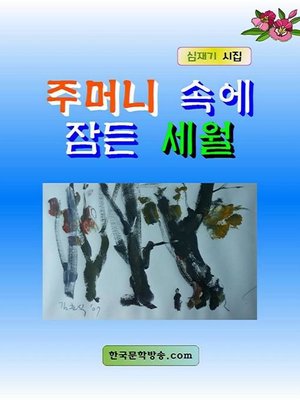 cover image of 주머니 속에 잠든 세월